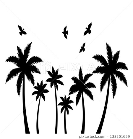 Palm trees silhouette with birds flying in sky on white background tropical Palm trees silhouette with birds flying in sky on white background tropical 138201639