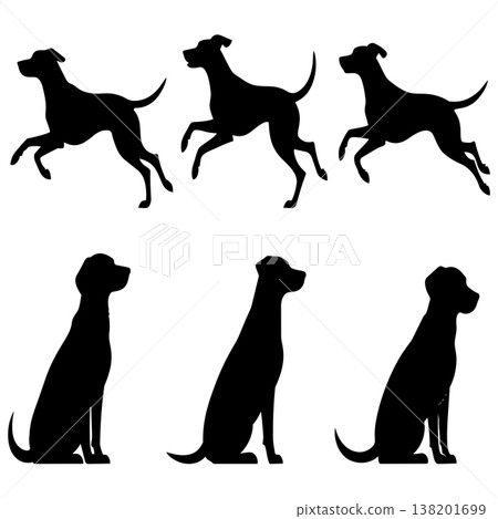 Silhouettes of dogs in running and sitting poses representing various canine activities and behaviors 138201699