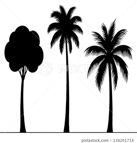 Three black silhouette trees against a plain white background, including palm trees Three black silhouette trees against a plain white background, including palm trees 138201718