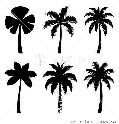 Tropical palm trees silhouettes collection different types isolated on white background nature Tropical palm trees silhouettes collection different types isolated on white background nature 138201733