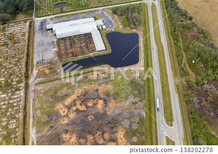 Commercial cattle stockyard with meat cows in rural Florida. Feeding of livestock on farm feedlot in USA Commercial cattle stockyard with meat cows in rural Florida. Feeding of livestock on farm feedlot in USA 138202278