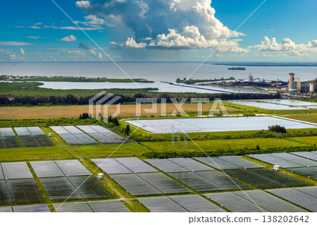 Clean energy transition in Florida. Rows of solar photovoltaic panels installed at Big Bend Power Station in Apollo Beach, replacing fossil fuel dependence with renewable electricity generation Clean energy transition in Florida. Rows of solar photovoltaic panels installed at Big Bend Power Station in Apollo Beach, replacing fossil fuel dependence with renewable electricity generation 138202642