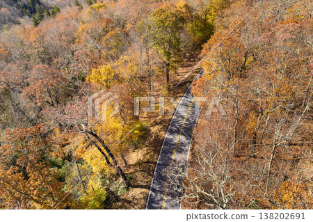 Blue Ridge Parkway road in autumn woods of Appalachian mountains at sunset with yellow and orange canopies in colorful forest. Road trip driving in wild nature in fall season Blue Ridge Parkway road in autumn woods of Appalachian mountains at sunset with yellow and orange canopies in colorful forest. Road trip driving in wild nature in fall season 138202691