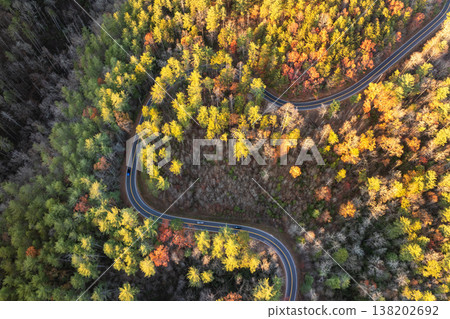 Blue Ridge Parkway in full autumn splendor. North Carolina mountain highway lined with brilliant red, orange, and gold foliage 138202692