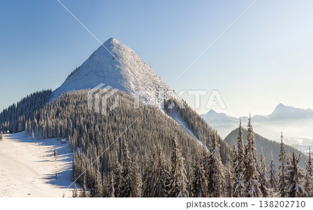 Beautiful winter panorama with fresh snow. Landscape with spruce pine trees, blue sky with sun light and high Carpathian mountains on background. Beautiful winter panorama with fresh snow. Landscape with spruce pine trees, blue sky with sun light and high Carpathian mountains on background. 138202710