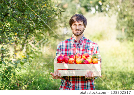 Man holding wooden box filled with red apples standing in green orchard during autumn harvest season Man holding wooden box filled with red apples standing in green orchard during autumn harvest season 138202817