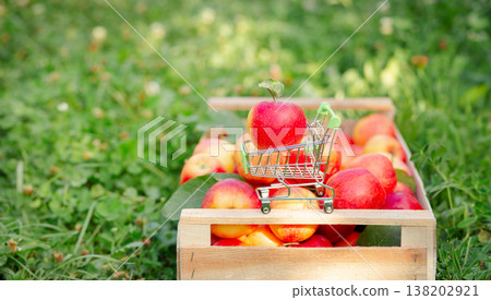 Red apple placed in miniature shopping cart on wooden crate filled with fresh apples in orchard. Red apple placed in miniature shopping cart on wooden crate filled with fresh apples in orchard. 138202921