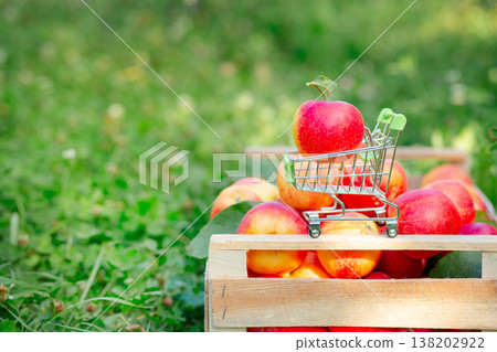 Red apple placed in miniature shopping cart on wooden crate filled with fresh apples in orchard. 138202922