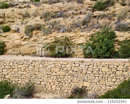 Rustic hillside with dry wall, Arid landscape featuring historic stone barriers and natural vegetation 138202941