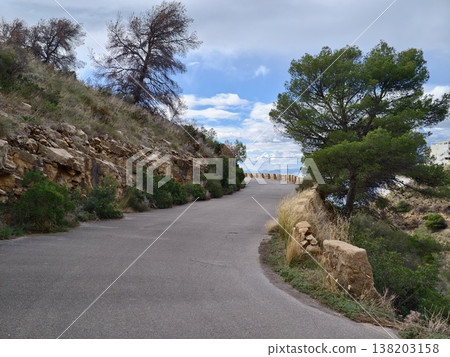 Tranquil winding road through pinecovered cliffs featuring gentle bends and scattered stones Tranquil winding road through pinecovered cliffs featuring gentle bends and scattered stones 138203158