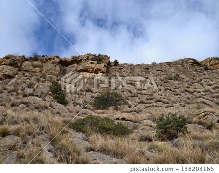 Vertical rocky formation reveals erosion textures amidst sparse vegetation and expansive sky Vertical rocky formation reveals erosion textures amidst sparse vegetation and expansive sky 138203166