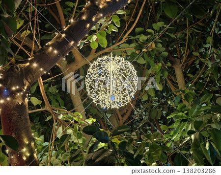 Bright natural illumination, Ornamental illumination in foliage offers tranquil evening atmosphere 138203286