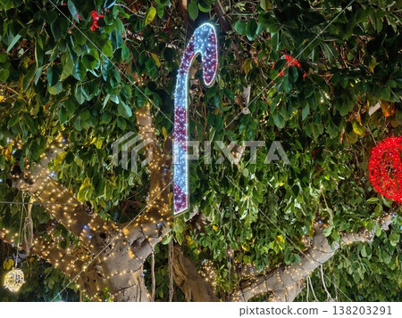 String of festive lights creating joyful ambiance surrounded by seasonal greenery and cheerful decor String of festive lights creating joyful ambiance surrounded by seasonal greenery and cheerful decor 138203291