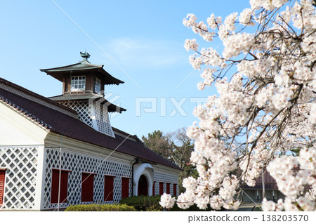 The former Niigata Customs House seen through cherry blossoms The former Niigata Customs House seen through cherry blossoms 138203570