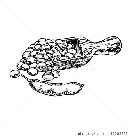 A pile of soybeans on a wooden spatula and a soybean pod. Black and white vector graphics. Perfect for creating product labels, posters, banners, menus, and more. 138203712