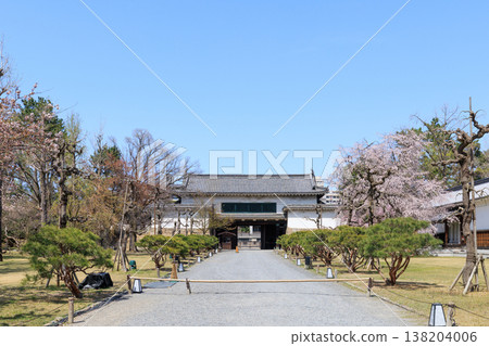 京都二條城北門與櫻花 京都二條城北門與櫻花 138204006