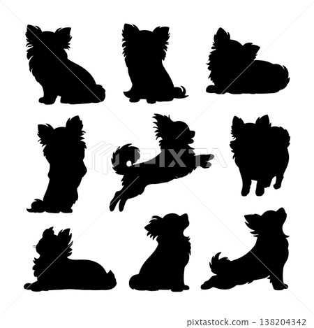 Silhouettes of Chihuahuas in various poses showcasing their playful and curious nature 138204342