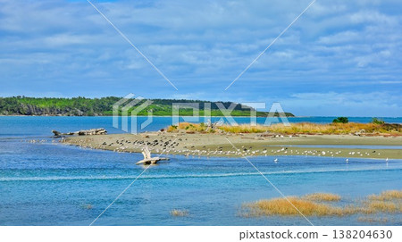 The Manawatu Estuary at Foxton Beach Wetlands The Manawatu Estuary at Foxton Beach Wetlands 138204630