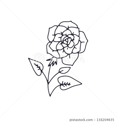 Hand drawn black and white outlined doodle rose flower Hand drawn black and white outlined doodle rose flower 138204635