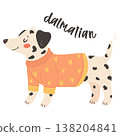 Dalmatian dog wearing orange sweater in cute stylish outfit illustration 138204841