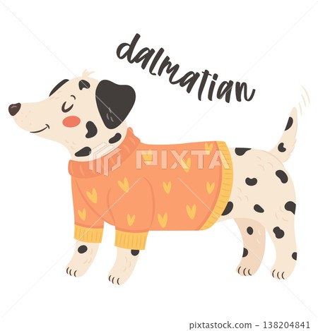 Dalmatian dog wearing orange sweater in cute stylish outfit illustration Dalmatian dog wearing orange sweater in cute stylish outfit illustration 138204841