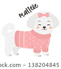 Cute maltese dog wearing pink sweater and bow in adorable fashion style illustration 138204845