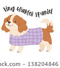 King charles spaniel dog wearing purple coat in stylish fashionable outfit illustration 138204846