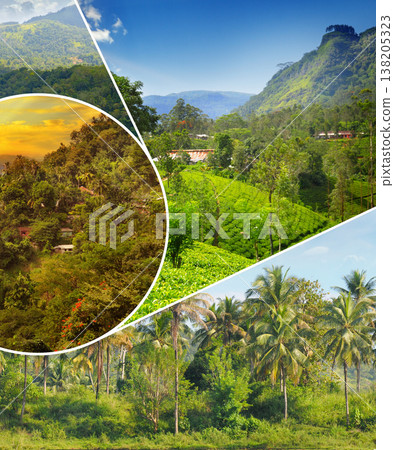 Tropical landscape collage of lush green mountains, tea plantations, and palm trees in Sri Lanka under a blue sky, vertical orientation, travel and exotic nature tourism concept. 138205323