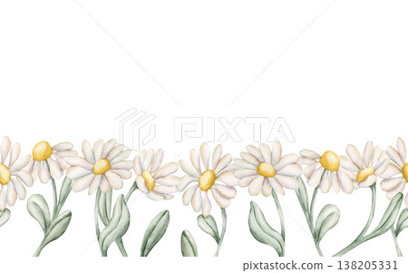 Cute Daisy Chamomile Flowers Seamless Border. Wildflowers Watercolor summer spring floral illustration hand painted isolated on white background for nursery baby kids design fresh prints cards textile Cute Daisy Chamomile Flowers Seamless Border. Wildflowers Watercolor summer spring floral illustration hand painted isolated on white background for nursery baby kids design fresh prints cards textile 138205331