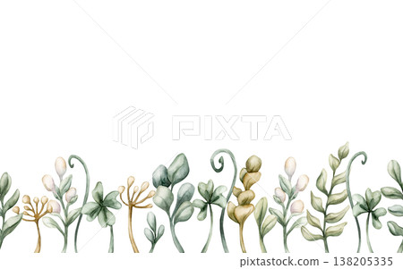 Cute Meadow Herbs Wild Plant Seamless Border. Watercolor summer spring floral illustration hand painted isolated on white background for nursery baby kids forest design fresh prints cards textile Cute Meadow Herbs Wild Plant Seamless Border. Watercolor summer spring floral illustration hand painted isolated on white background for nursery baby kids forest design fresh prints cards textile 138205335