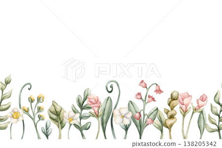 Cute Meadow Flowers Plants Seamless Border. Wildflowers Watercolor summer spring floral illustration hand painted isolated on white background for nursery baby kids design fresh prints cards textile 138205342