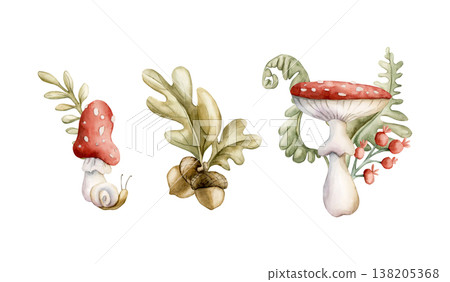 Cute Mushrooms Acorns Berries Leaves . Watercolor summer floral forest illustration hand painted isolated on white background for nursery baby kids design fresh whimsical prints cards mystery textile Cute Mushrooms Acorns Berries Leaves . Watercolor summer floral forest illustration hand painted isolated on white background for nursery baby kids design fresh whimsical prints cards mystery textile 138205368