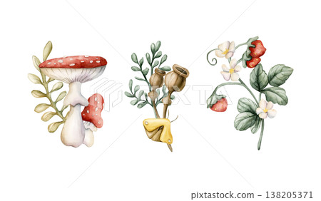 Cute Mushrooms Wild Strawberry Poppy Boxes . Watercolor summer floral forest illustration hand painted isolated on white background for nursery baby kids design fresh prints cards mystery textile 138205371