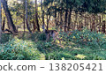 Deer standing gracefully in a lush green forest, surrounded by tall trees and dense underbrush, showcasing the beauty of wildlife in its natural habitat 138205421