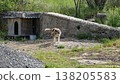 Bulgarian Sheepdog Standing by Rustic Doghouse on Hillside 138205583