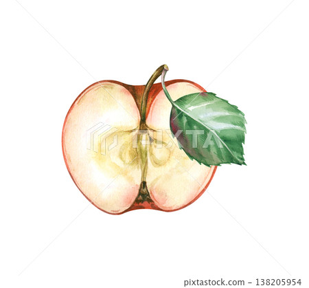 Half of a ripe red apple with a green leaf on an isolated background. Juicy fruit in watercolor. Realistic botanical clipart for menus, jams, baby food and harvesting. 138205954