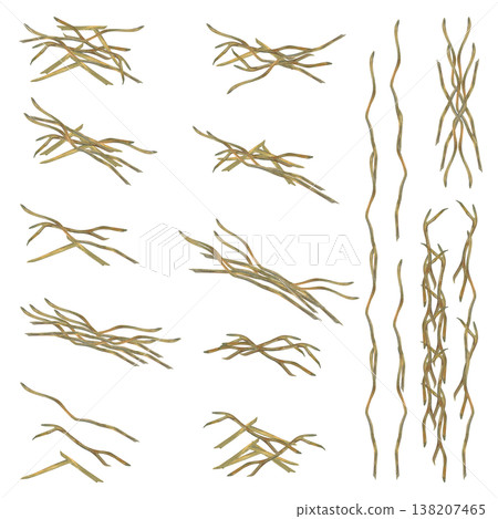 Watercolor hay and straw elements in various shapes and arrangements. Natural rustic textures ideal for farm branding, rabbit care products, packaging, organic design, and countryside or seasonal Watercolor hay and straw elements in various shapes and arrangements. Natural rustic textures ideal for farm branding, rabbit care products, packaging, organic design, and countryside or seasonal 138207465