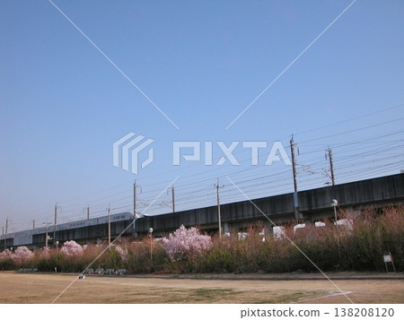 2015 年 3 月 30 日,北陸新幹線 E7/W7 系列列車在春天穿過熊谷市體育公園,公園內有足球場和櫻花。 2015 年 3 月 30 日,北陸新幹線 E7/W7 系列列車在春天穿過熊谷市體育公園,公園內有足球場和櫻花。 138208120