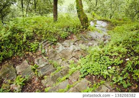 Stone Steps Trail in the Himalayan Forests of Nepal Stone Steps Trail in the Himalayan Forests of Nepal 138208382