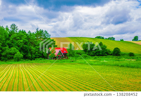美瑛的壯麗景色 138208452