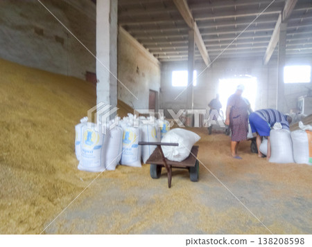 Heap of grains of barley and wheat in stock Heap of grains of barley and wheat in stock 138208598