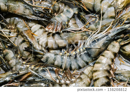 Fresh raw king prawns and seafood assortment on ice at a traditional fish market. Close-up of large tiger shrimps and dorado fish displayed for sale at a local Mediterranean market stall. Fresh raw king prawns and seafood assortment on ice at a traditional fish market. Close-up of large tiger shrimps and dorado fish displayed for sale at a local Mediterranean market stall. 138208812