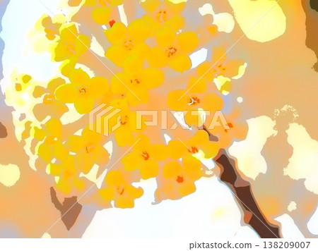 Mitsumata flowers in the spring sunlight (afr20260327142737) Mitsumata flowers in the spring sunlight (afr20260327142737) 138209007