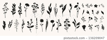Large set of black botanical silhouettes featuring wildflowers, meadow herbs, tulips, leaves and plants on beige background. Perfect for wedding design, patterns, wreaths, logos and nature projects. Large set of black botanical silhouettes featuring wildflowers, meadow herbs, tulips, leaves and plants on beige background. Perfect for wedding design, patterns, wreaths, logos and nature projects. 138209047