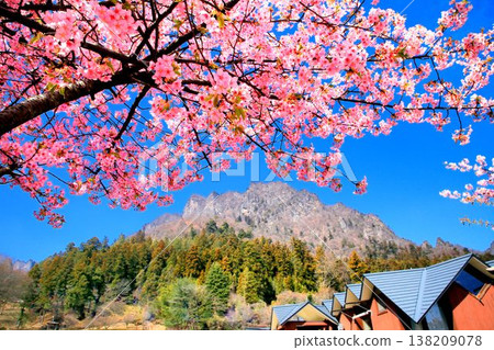 河津櫻花和妙義山 河津櫻花和妙義山 138209078