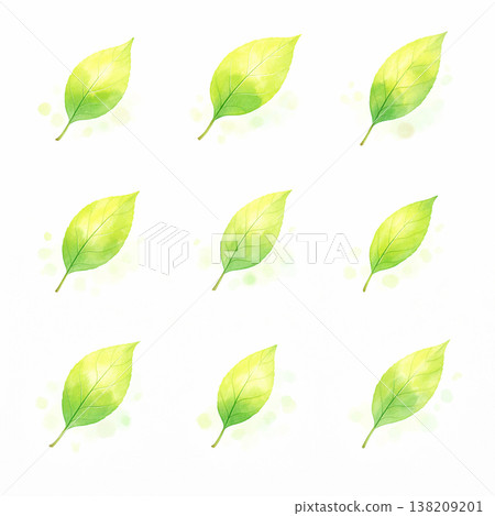 清新的綠色葉子圖案背景，自然植物重複設計 138209201