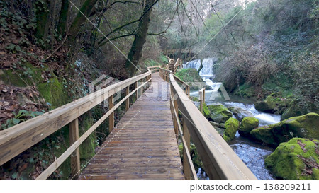 Forest Path to the Falls Forest Path to the Falls 138209211