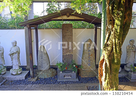 真藏院（小金井） 138210454