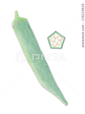 Okra's illustration 138210628