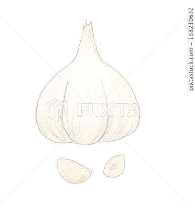 大蒜的例證 大蒜的例證 138210632